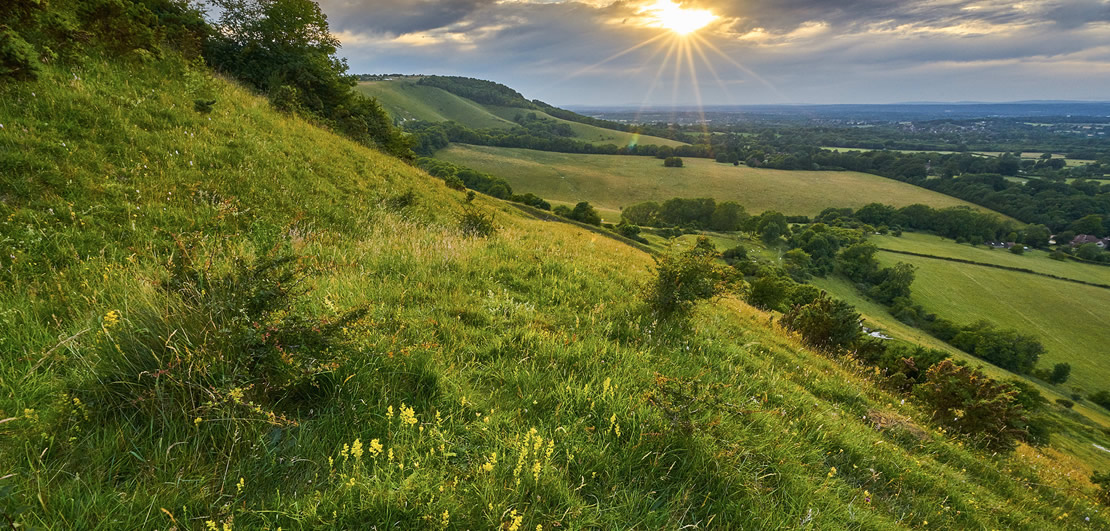 Equine & Farm Cremation Services, Kent & Sussex 